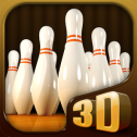 Bowling Masters 3D